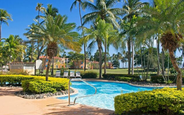 Palm View