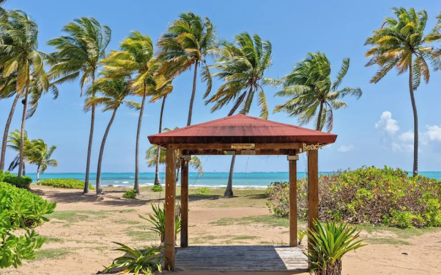 Playas Del Yunque Condo: Pool & Beach Access