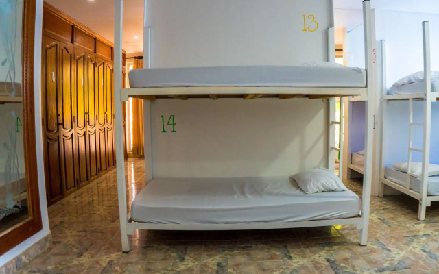 Wonderland Hostel By GB Collection