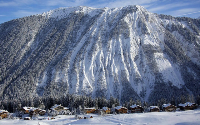 Chalet Artemisia