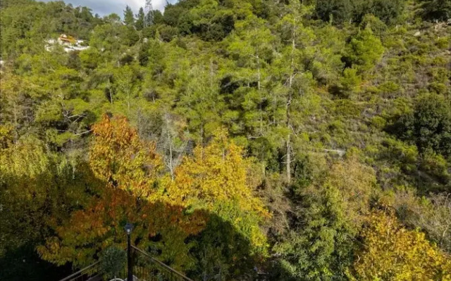 Troodos Riverside Cottage
