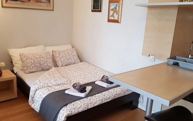 Sava Mala Apartment