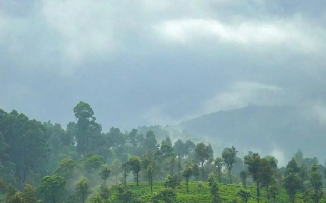 Vantage hills Haputale