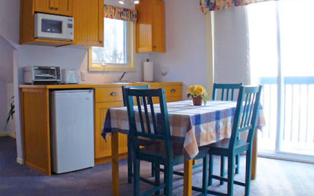 Gîte Sous Les Ailes De Lyne