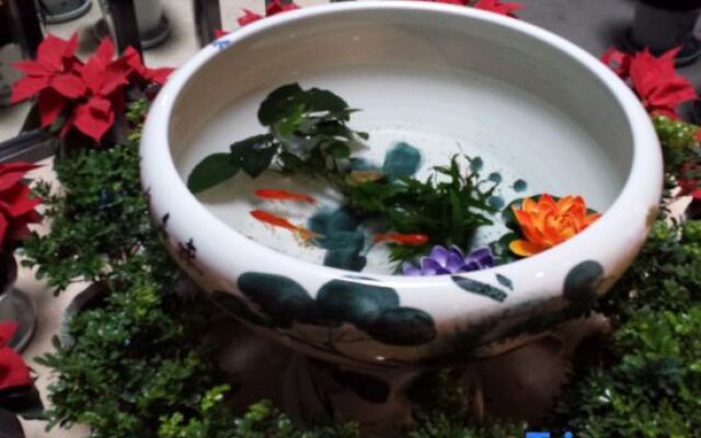 Mengzi Green Enjoy Hotel