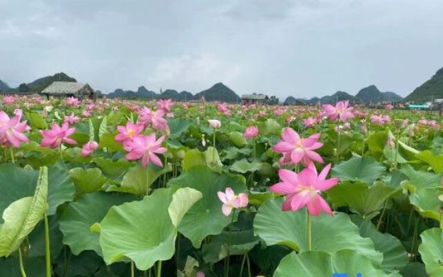 Puzhehei Yidu Homestay (Hehua Daguan Garden)