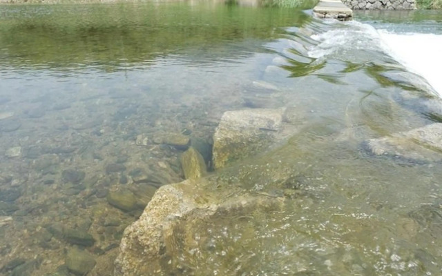 Gapyeong Sagyejeol Pension