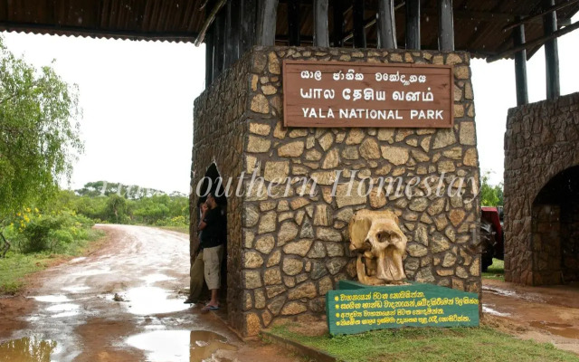 Yala Southern Homestay