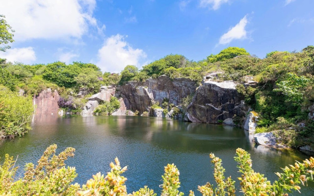 Mellydonen Beder Del , Tor Down Quarry