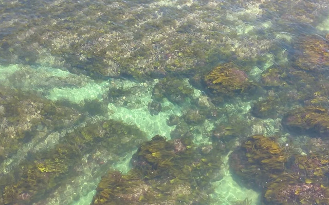 Peniche Nature and Beach Flat