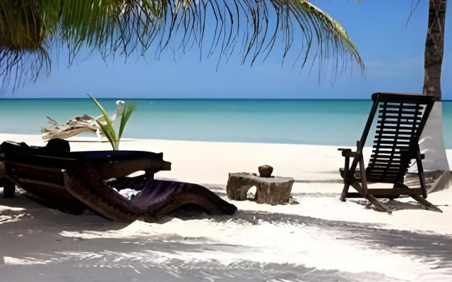 Beachfront Hotel La Palapa - Adults Only