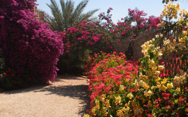 Riad Souiguia