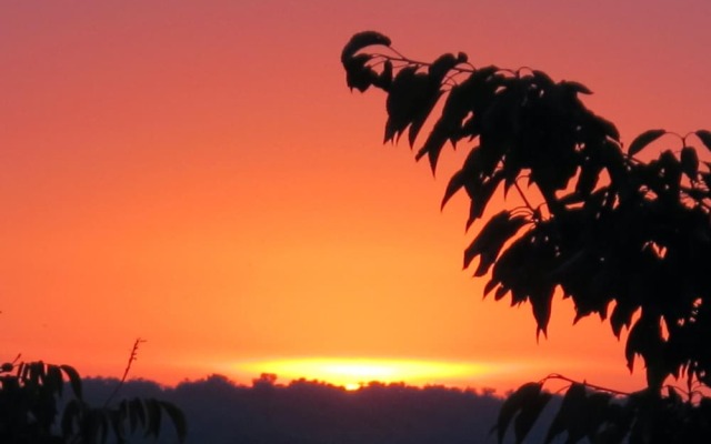 Villa With 4 Bedrooms in Saint-paul-lizonne, With Pool Access, Furnish