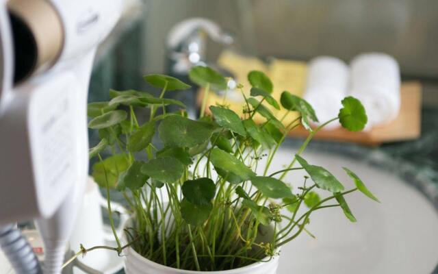 Splendid Boutique Hotel