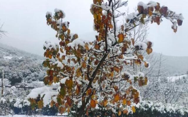 Chalet 1 Bedroom 1 Bathroom - Kalavryta