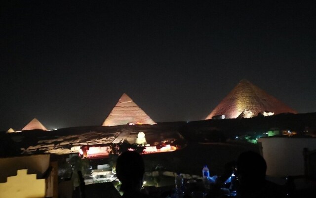 Sphinx Safari