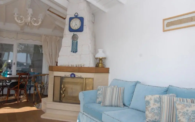 Dzg House