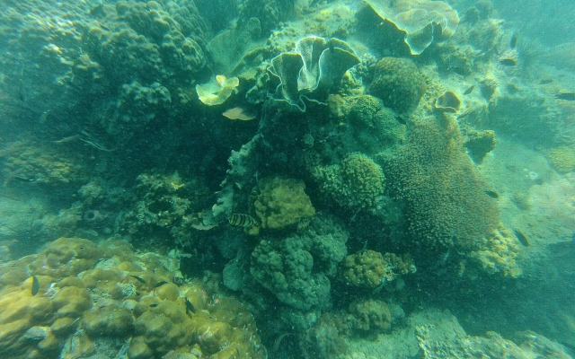 Palm Beach Bungalow Resort