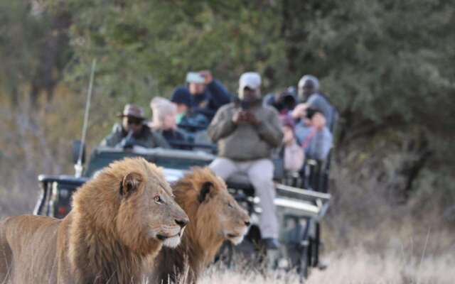 Simbavati Hilltop Lodge