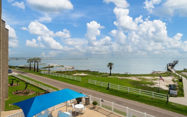 LR #308 - Beautiful Bay View