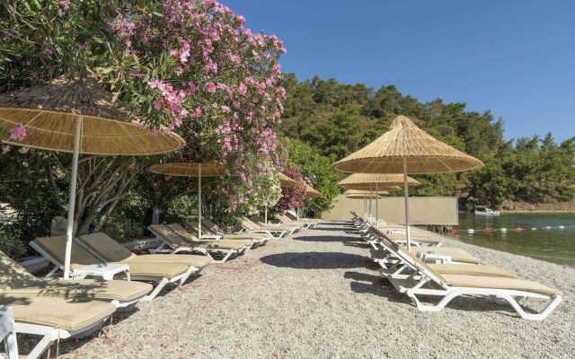 Alesta Residence
