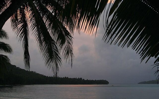 Tarzan's Beach Resort