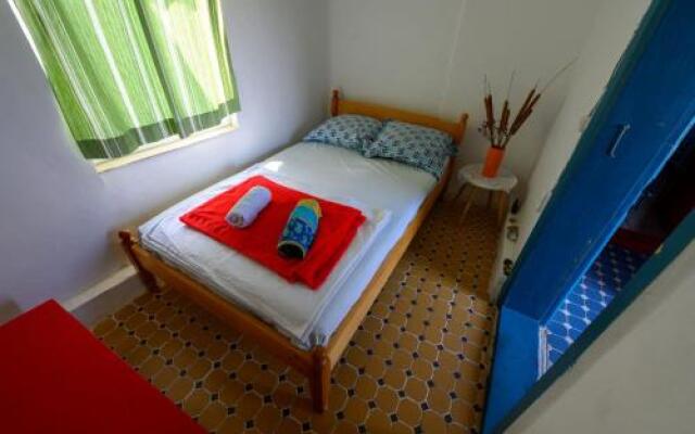 Danube Delta Hostel Homestay