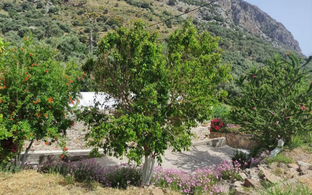 Olga's traditional stone house, Palaiochora