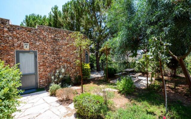 Tur Sinai Organic Farm Resort