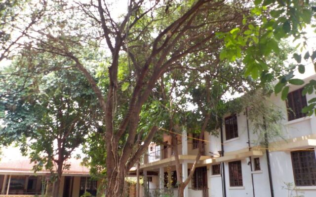 The Pink Daisy Bed and Breakfast