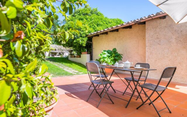 Bardeggiano - Caterina 3 (COL246)