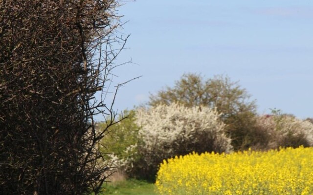 Stevns Klint Strandpension