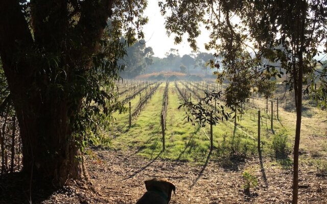 Stellar Overberg Travellers Lodge