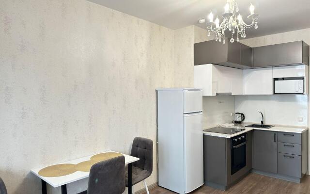 Apartments on Pushkin street 6