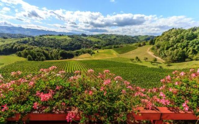 Farm Stay Jarc Vineyard