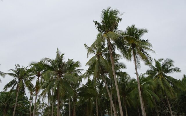 Selectum Mangrove Resort