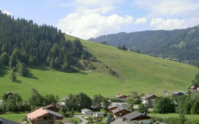 Appartement La Clusaz, 1 pièce, 5 personnes - FR-1-437-21