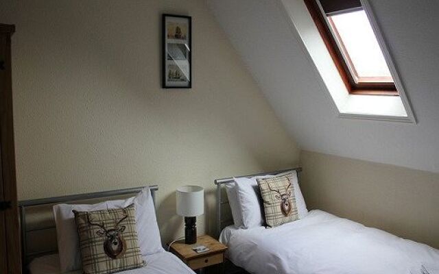 The Elmfield