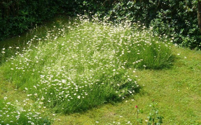 Ferienwohnung Billmann