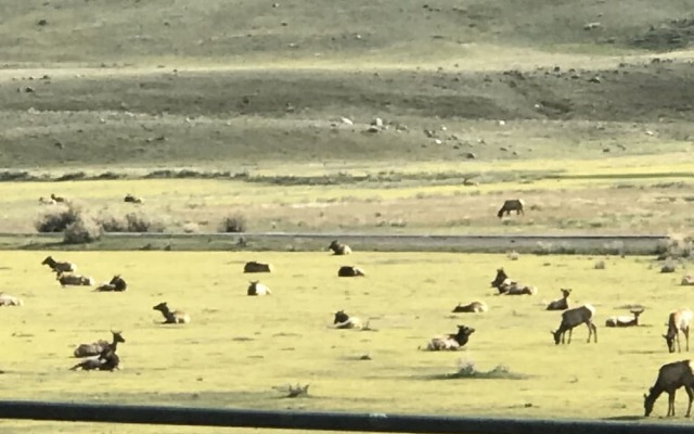 Park Hotel Yellowstone