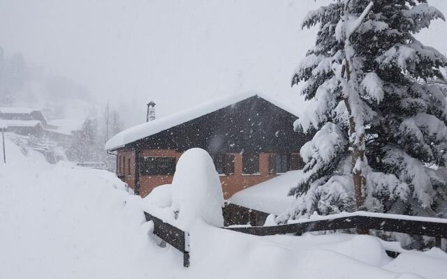 Hostal Xalet Refugi Pere Carné - Hostel
