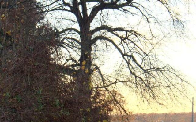 Gite Avesnois - 4910 -