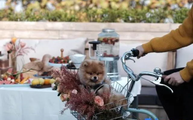 You House·Mogan Youjia Hotel (Moganshan Scenic Area)