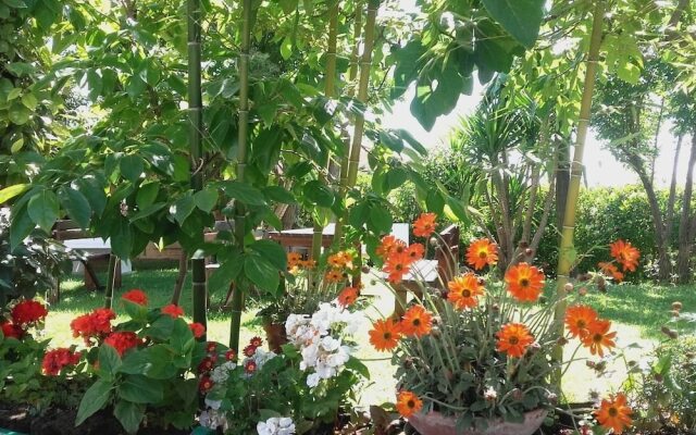 Pier delle Vigne B&B