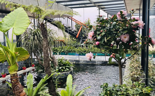 Vigolando Van Ho Resort