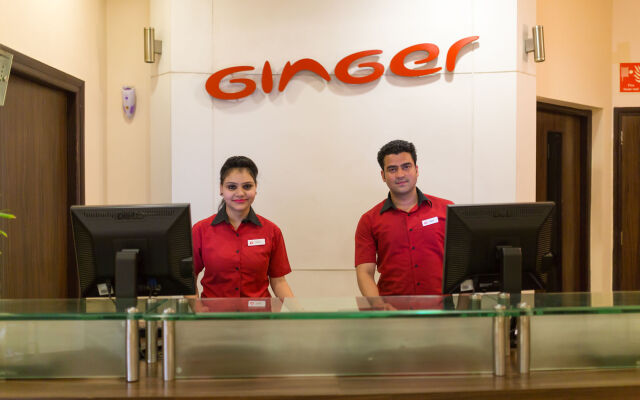 Ginger Jaipur