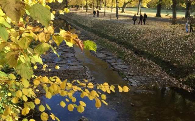 Suite mit Blick auf die Lichtentaler Allee