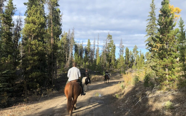 Red Cariboo Apartments