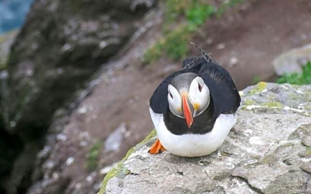 The Skellig Lodge & Hostel