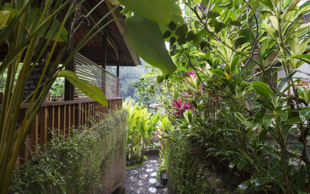 Jungle Haven Resort Central Ubud